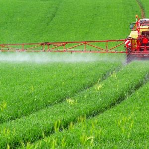 کاربرد پتاسیم نیترات در کشاورزی