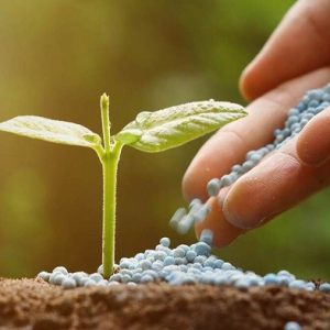 کاربرد سدیم نیترات صنعتی