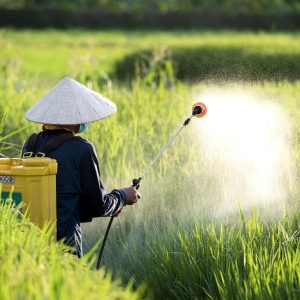 پتاسیم نیترات گرید کشاورزی