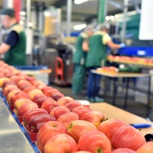 کاربرد پتاسیم نیترات صنعتی